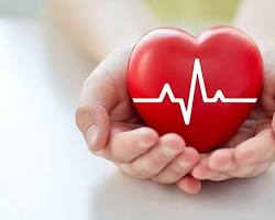 Cách cải thiện sức khỏe tim mạch của bạn